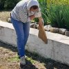Наши субботники